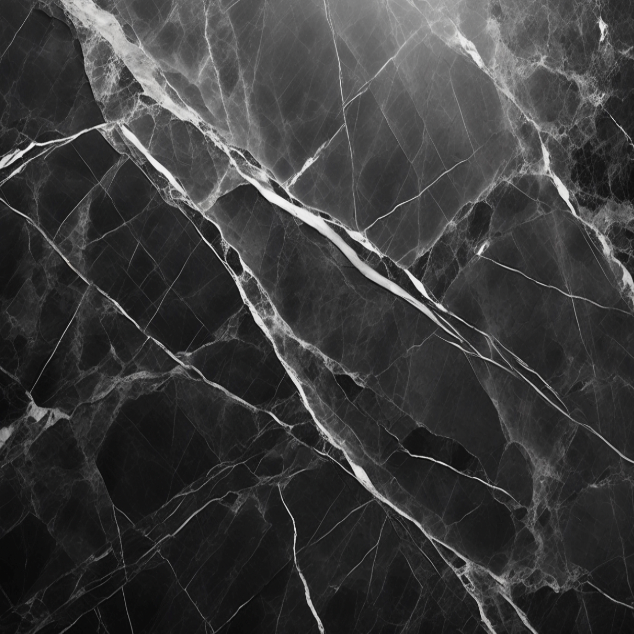 Black and White Marble