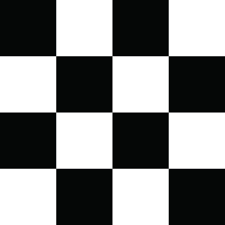 Black and White Checkerboard