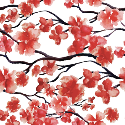 Cherry Blossoms