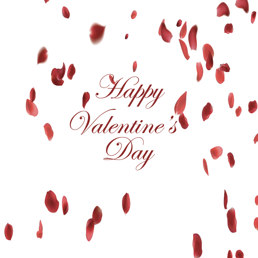 Valentine's Day Petals